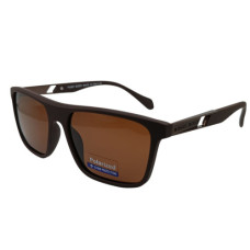 Чоловічий Polarized HB P11 c5