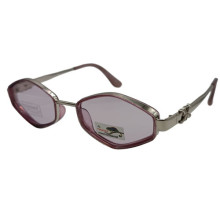 Polarized Хамелеон Cel XP032 с4 сталь-сиреневые