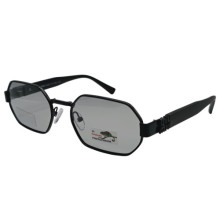 Polarized Хамелеон MM XP7021 c1