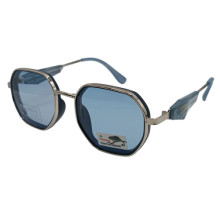 Polarized Хамелеон Pr XP7012 c5