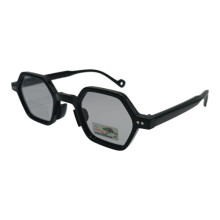 Polarized Хамелеон XP6008 c1