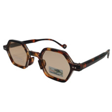 Polarized Хамелеон XP6008 c2