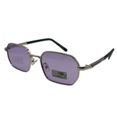 Polarized Хамелеон XP8211 с5 сталь-бузок
