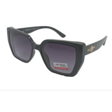 Van Regel Polarized p3501 c2 черно-серые