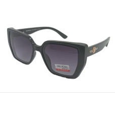 Van Regel Polarized p3501 c2 чорно-сірі