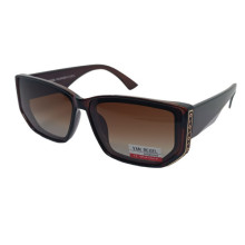 Van Regel Polarized p3509 коричневые