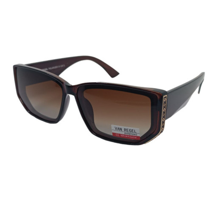 Van Regel Polarized p3509 коричневые