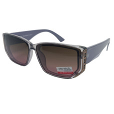 Van Regel Polarized p3509 сірі