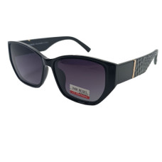 Van Regel Polarized P3510 с2 чорно-сірі