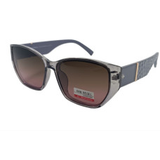 Van Regel Polarized P3510 с5 сірі