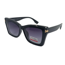 Van Regel Polarized p3515 чорно-сірі