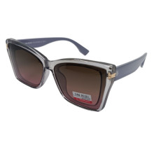 Van Regel Polarized p3515 сірі