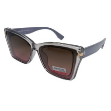 Van Regel Polarized p3515 сірі