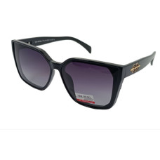 Van Regel Polarized p3516 с2 чорно/сірі