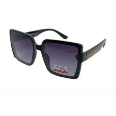 Van Regel Polarized p3519 c2 чорно-сірі