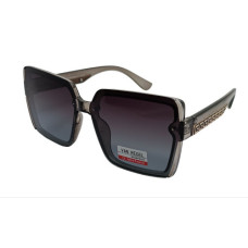 Van Regel Polarized p3519 c6 сірі