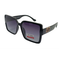 Van Regel Polarized p3520 с2 чорно/сірі