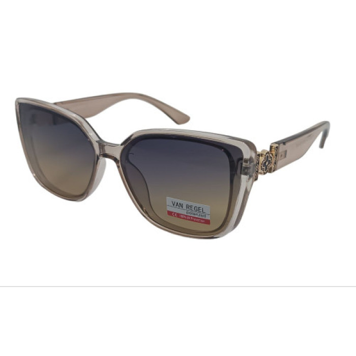 Van Regel Polarized p3523 c6 серые