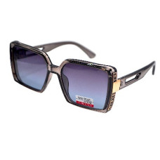 Van Regel Polarized P3525 c5 сірі