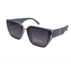 Van Regel Polarized p3529 сірі