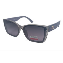 Van Regel Polarized p3530 c6 серые