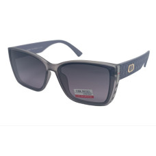 Van Regel Polarized p3530 c6 сірі