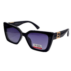 Van Regel Polarized P3532 c2 чорно-сірі