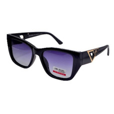 Van Regel Polarized P3533 c2 чорно-сірі