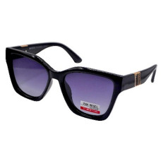 Van Regel Polarized P3536 c2 чорно-сірі