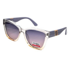 Van Regel Polarized P3536 c5 серые