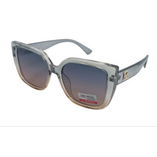 Van Regel Polarized p3537 прозоро-сірі