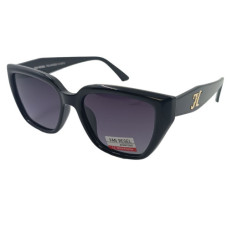 Van Regel Polarized P3539 с2 чорно-сірі
