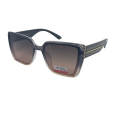 Van Regel Polarized p3551 c6 сірі