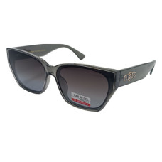 Van Regel Polarized p3552 сірі