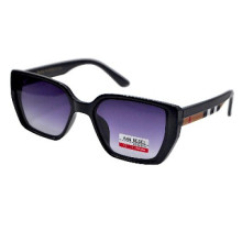 Van Regel Polarized P3553 c2 чорно-сірі