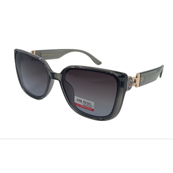 Van Regel Polarized p3554 серые