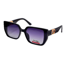Van Regel Polarized P3555 c2 чорно-сірі