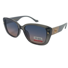 Van Regel Polarized P3556 с4 сірі