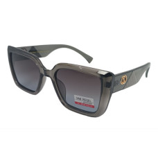 Van Regel Polarized p3563 сірі