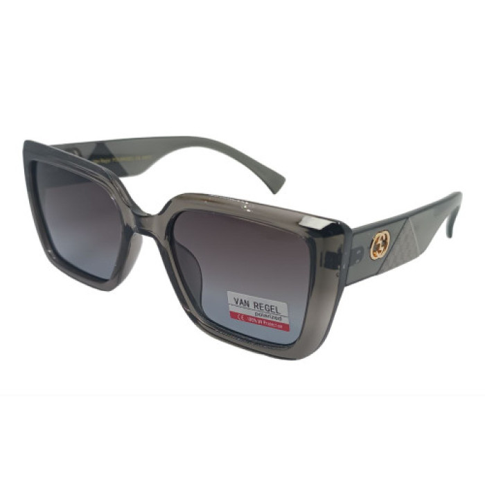 Van Regel Polarized p3563 серые