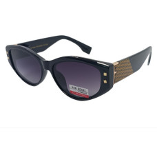 Van Regel Polarized P3564 с2 чорно-сірі