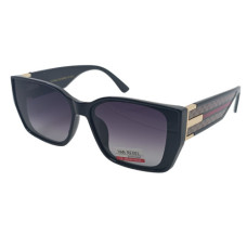 Van Regel Polarized p3568 c2 чорно-сірі