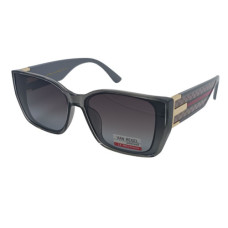 Van Regel Polarized p3568 c6 сірі