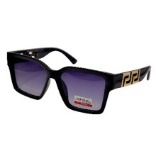 Van Regel Polarized Р3507 с2 чорно-сірі