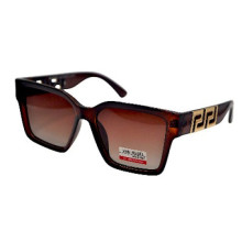 Van Regel Polarized Р3507 с3 коричневые