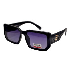 Van Regel Polarized Р3508 с2 чорно-сірі