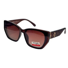 Van Regel Polarized Р3522 с3 коричневые