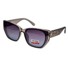 Van Regel Polarized Р3522 с5 серые