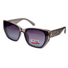 Van Regel Polarized Р3522 с5 сірі