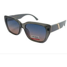 Van Regel Polarized р3559 с4 сірі